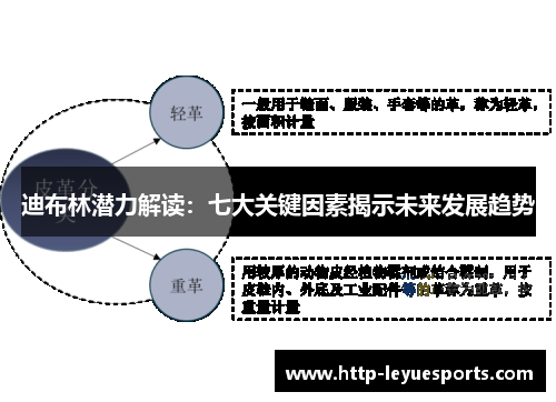 迪布林潜力解读：七大关键因素揭示未来发展趋势