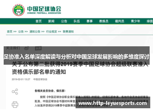 足协准入名单深度解读与分析对中国足球发展影响的多维度探讨