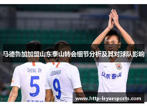 马德鲁加加盟山东泰山转会细节分析及其对球队影响
